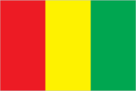 Guinea flag