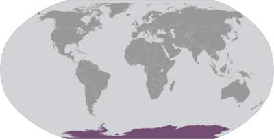 Antarctica locator map