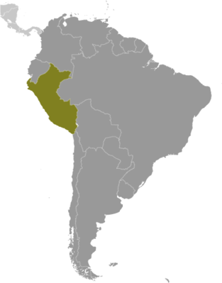 Peru locator map