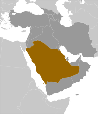 Saudi Arabia locator map